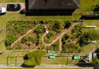 A Microforest Grows in New Orleans