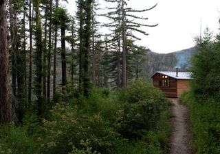 The Mid-Aughts Millennial Urge to Build a Cabin in the Woods