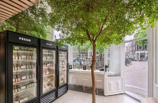 In Amsterdam's Nine Streets neighborhood, the roughly 250-square-foot shop of Cold Pressed Juicery showcases a vibrant tree in the middle of the space. Photo by Wouter van der Sar.