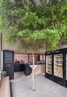 15 Brilliant Designs That Work Around Nature - Photo 10 of 15 - In the basement of this tiny Dutch juice shop, the tree rests in a bucket of fertile soil and is connected to irrigation. 