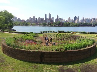 The work is covered with a range of pollinator plants that attract bees.