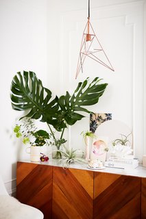 "Until last year, it was difficult for me to keep any plants alive," Cecilia says. "At some point, something in me changed, and I learned little by little how to make them happy."