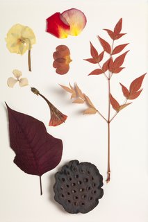 Inspired by an herbarium, the experiments behind the Nichetto Colour System have helped them incorporate the nature-inspired findings into the choices they make in terms of production materials. 