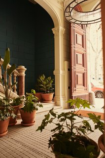 In the main corridor of the refreshed 19th century building, lush potted plants from Alejandra Coll of Asilvestrada Plants sit on top of original mosaic floors. 