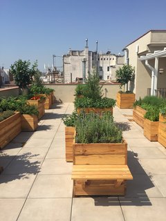The newly opened rooftop terrace features a fragrant garden that was created by Alejandra Coll. The ingredients grown here will be used at the restaurants and bars in the hotel.