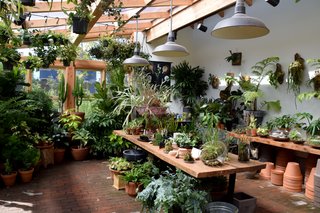 In the sun room, Pistils offers to pot any plant you purchase from them. In the back garden area, you can pick out the perfect plant and meet the chickens that hang out around the on-site chicken coop.