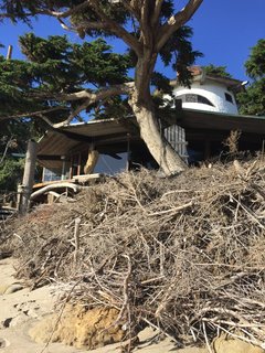 For Harry Gesner, iconic design is born when the creator isn't afraid to step up to a challenge. He believes good design goes hand-in-hand with a love of nature and a passion for life and adventure. Case in point, the Sandcastle was built by Gesner himself and was created to be one with the ocean. Looking up from the sand in Malibu, this shot peers directly into the circular residence. 