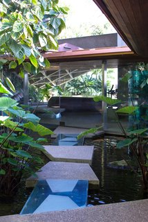 When Goldstein bought the house, the property only held one tree—which is still there to this day. He made a goal to create his own tropical jungle, which now extends over four acres of the property. 