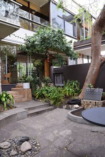 As seen here in the courtyard separating the two sections of the house, the whole property is thriving with plant life. After Dione passed away in 1990, Neutra's son Dion placed the aforementioned plaque under the Chinese elm tree to commemorate both of his parents, whose ashes are placed in the courtyard.