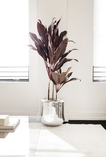 Also in the lounge/waiting area sits rounded metal planters that are part of Early Work’s product line. Throughout the space are versions in both a high polished mirror finish (shown here) and a textured powder-coated finish.