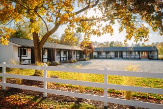 The white board-and-batten facade takes cues from the surrounding stables and is surrounded by billowing grass and birch trees. 