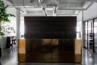 Hollis points out, "You move from a dark reception salon into a bright white, open space. The contrast of moving from darkness into light is always part of my work." The reception desk consists of a brass-clad box that was custom made by Chris French Metals, and acts as Hollis’ ode to Donald Judd.