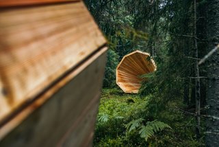 Estonian Forest Sounds - Photo 1 of 5 -