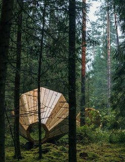 Estonian Forest Sounds - Photo 2 of 5 -