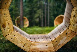 Estonian Forest Sounds - Photo 4 of 5 -