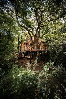 15 Brilliant Designs That Work Around Nature - Photo 9 of 15 - Woodman’s Tree House is built using local materials where possible and includes traditional wooden craftsmanship throughout the interior. The structure stands on high stilts to minimize its effect on the land and all the existing trees are protected and maintained unharmed and untouched. 