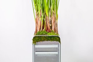 Plant Your Mac! By Monsieur Plant - Photo 2 of 7 -