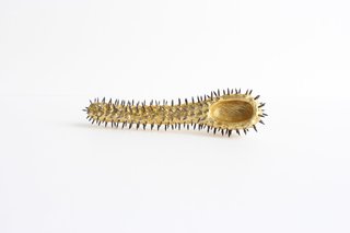 Experimental Gastronomy - Art Meets Fine Cuisine - Photo 5 of 6 -