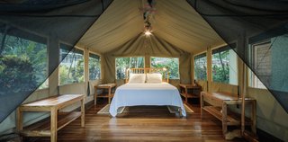 Canopy Camp - Photo 6 of 8 -