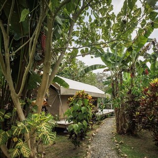 Canopy Camp - Photo 8 of 8 -