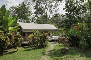 Canopy Camp - Photo 7 of 8 -