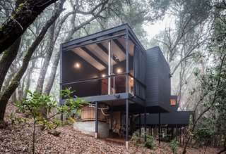 Forest House By Envelope A + D - Photo 2 of 7 -