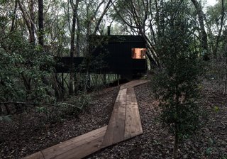 Forest House By Envelope A + D - Photo 6 of 7 -