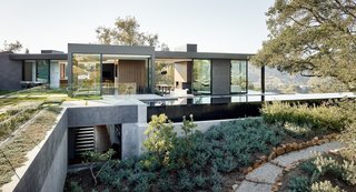 A 75-foot-long infinity pool slips beneath one of the largest oaks on the property.