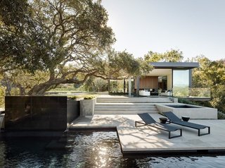 The oak trees, along with the topography of the site, inspired the design of the modern house.