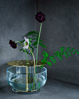 Modern Ikebana - Photo 5 of 8 -