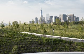 New York's Newest Park Sits on Recycled Demolition Debris - Photo 2 of 5 - The planting plan was designed to provide viewing corridors toward the city, with visitors enjoying 360-degree vistas from the top of Outlook, the tallest hill, and scenes of the Financial District skyline from Grassy Hill, seen here. Some 830 trees from 32 species selected for their size, color, and heartiness—including a variety of oaks and sassafras—were planted on The Hills, with a mix of balled-and-burlapped and container techniques.
