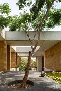 An Eco-Friendly Getaway Built With the Future in Mind - Photo 2 of 7 - Casa GP is laid out as a series of pavilions, with each holding another function.