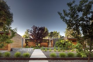 A mature Japanese maple was preserved during construction. "The way we designed the entry sequence, with the front door not facing the street, but rather facing the Japanese maple tree, relates to Christopher Alexander’s concept of ‘entrance transition,’" says Mottola. 