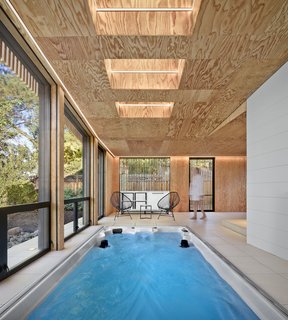 Cling to Summer a Little Longer at This Indoor Oasis - Photo 1 of 3 - The addition’s roofline rises northward to capture daylight through a series of operable skylights. 
