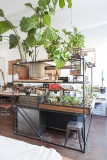 Terrariums from Bui’s own company Plant-in City occupy the corner of the L-shaped apartment, providing privacy for his sleeping nook. 