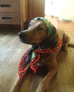 An interview with Eloi's
Paige Russell on inspiration,
life in Austin
& Le Grande Zombi Scarf - Photo 13 of 15 -