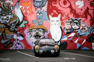 This Stunning Outlaw 356 Can Be Found Cruising The Streets Of San Diego - Photo 9 of 15 -