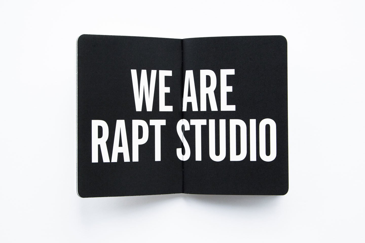 Rapt Studio on Dwell