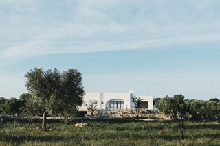 Masseria Moroseta by Andrew Trotter - Photo 3 of 3 -