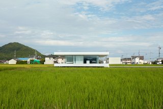 F Residence by Shinichi Ogawa & Associates - Photo 7 of 11 -