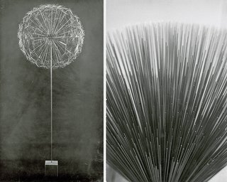 Black & white photographs of Harry Bertoia's Sonambient sculptures.