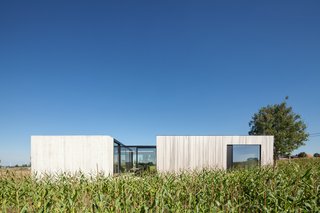 Defying traditionalism: concrete bungalow inserted in a rural Belgian landscape - Photo 4 of 13 -
