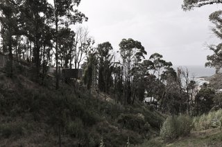 This Off-Grid Container Home in Australia Disappears in Nature - Photo 8 of 8 - The property was meant to fade into its surroundings, which it does at a distance. 