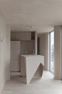 This Off-Grid Container Home in Australia Disappears in Nature - Photo 4 of 8 - The marine plywood feature is especially striking in the compact kitchen and its island's geometric design. The cabinetry was built by Z Constructions. 
