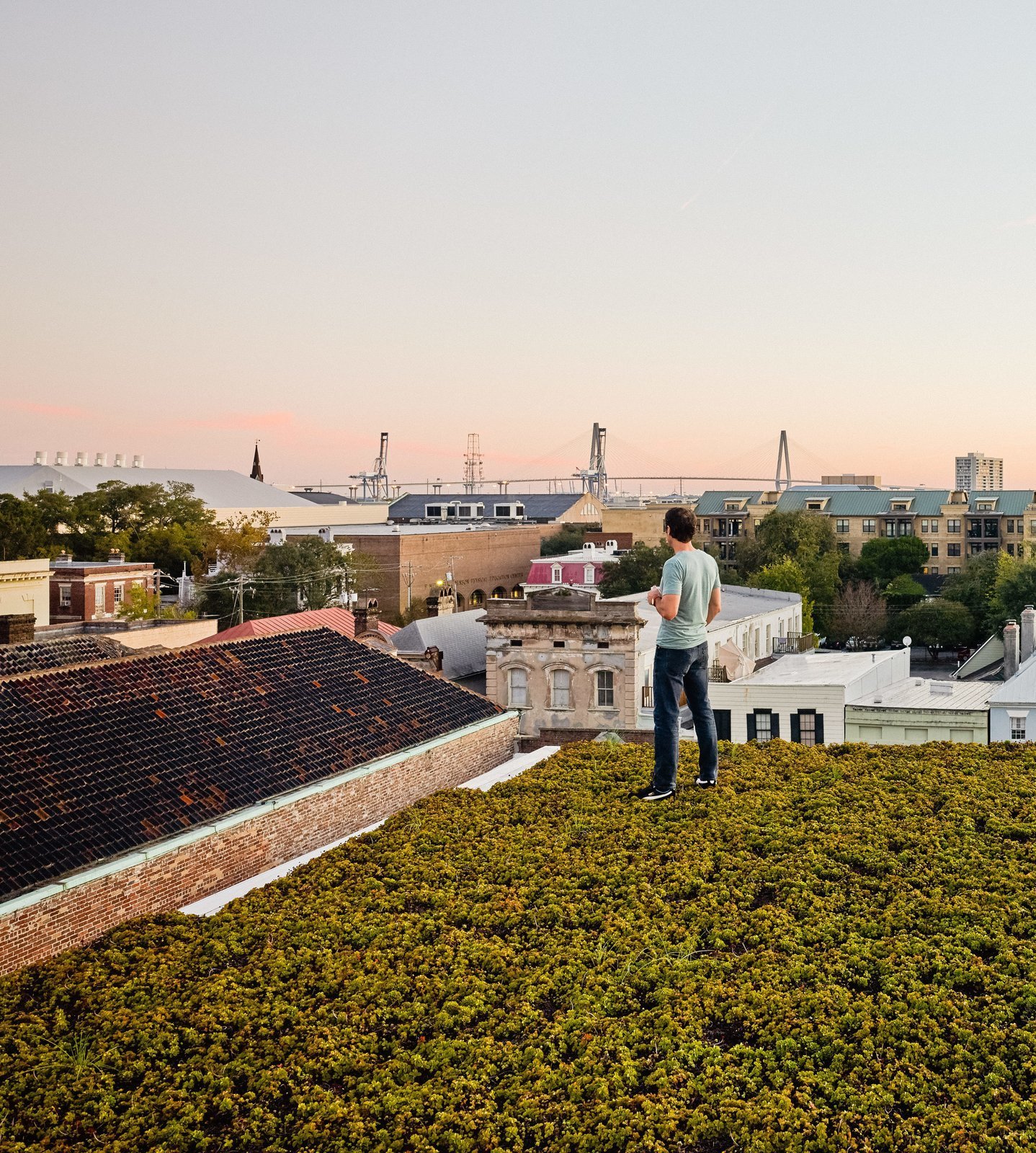 A modern home in Charleston has a roof filled with drought-resistant succulents.