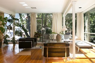 An Amazing Tree-Covered Glass House For Sale in the Berkeley Hills - Photo 5 of 20 - With plants both inside and out, the house feels immersed in nature.