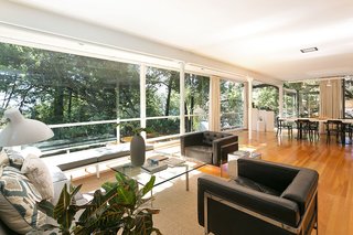 An Amazing Tree-Covered Glass House For Sale in the Berkeley Hills - Photo 8 of 20 -