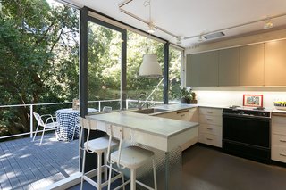 An Amazing Tree-Covered Glass House For Sale in the Berkeley Hills - Photo 10 of 20 -