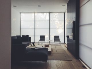These Modern Shades Are Revolutionizing the Market - Photo 7 of 8 -