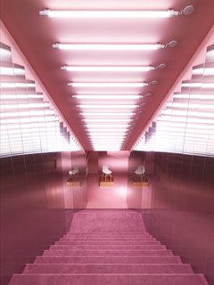 Plush pink staircase leading down into the Gallery.